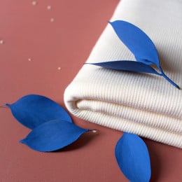 Tissu "Bord-côte Off-White"